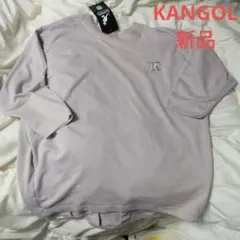 Item thumbnail for item 4fc2086c-2bf6-4fcb-b1c3-57547c988efb