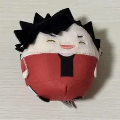 ハイキュー‼︎　黒尾鉄朗　ふわコロりん　ぬい ぐるみ