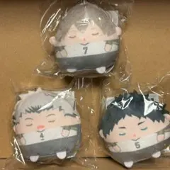 ハイキュー　木兎　赤葦　木葉　くじメイト　ぬいくじ　E賞　てのりんず