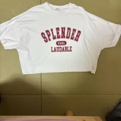 INGNIのtシャツです