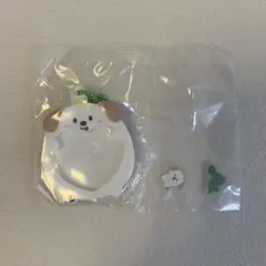 RIIZE アントン アクリルキーホルダー