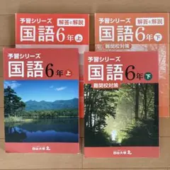 2026年最新】四谷大塚予習シリーズ 5年の人気アイテム - メルカリ