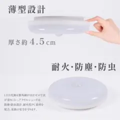 Item thumbnail for item 4c840a44-6e37-4f63-9eeb-6252f8e32a60