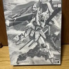 MG 1/100 DESTINY IMPULSE GUNDAM R ※説明書なし - メルカリ