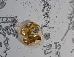 金運きんぷく開運金福お守り白蛇皮いり黄色花いり寺から配達