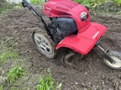 2026年最新】ff300 ホンダの人気アイテム - メルカリ