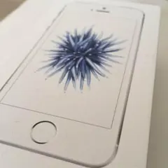 iPhoneSE シルバー ケース 空き箱