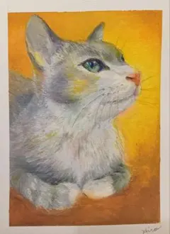 八代亜紀 猫 サイン入り 複製品 - メルカリ