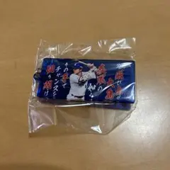 中日ドラゴンズ 大島洋平 応援歌 アクリルキーホルダー