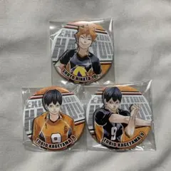 ハイキュー　コレクション缶バッジ　烏野