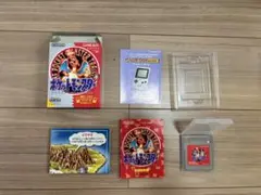 ゲームボーイソフト　ポケットモンスター 赤　ロット22A