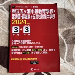 Item thumbnail for item 8d4567c8-a792-4698-90fd-f6daf563ceae