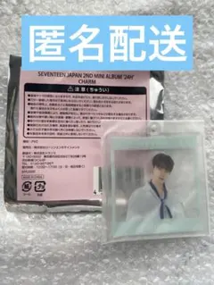 SEVENTEEN セブチ 24H チャーム ディノ