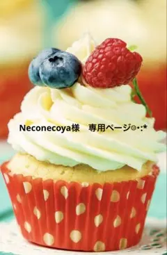 Neconecoya様 専用ページ　☺︎・:* リクエスト 2点 まとめ商品