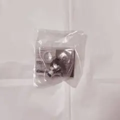 DEATHNOTE デスノート L めじるしアクセサリー