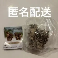 やちむん家 新垣優人 シーサー ミニチュアフィギュア 白 メス