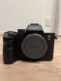日本語無し Sony α7S III US版 マイク付き 日本語無し Sony α7S III US版 マイク付き - メルカリ