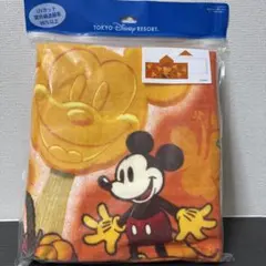 ディズニー　フード付きタオル　ミッキーアイスバー