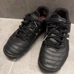 Item thumbnail for item 47cfe0cb-f263-4fcb-9d47-056c43a8e40e