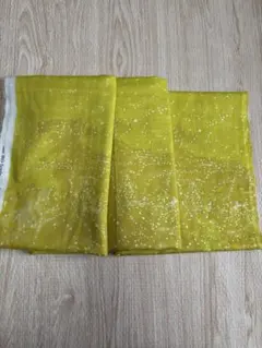 Item thumbnail for item 031f1120-cb6b-45df-8f75-ed26092e75de