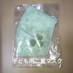 ハンドメイド マスクカバー 二重マスク 不織布マスクセット済 感染予防 花粉症