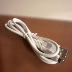 ホワイト Lightningケーブル 標準的な長さ