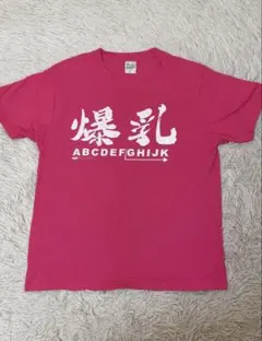 【10月14日まで大幅値下げ中‼️】爆乳Tシャツ おもしろTシャツ ピンク M