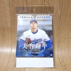 新品未開封】 JAL限定 大谷翔平 MLB東京シリーズ2025 クリアファイル