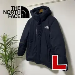 韓国限定【THE NORTH FACE】ダウンジャケット グースダウン 黒 L