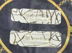 ポーラ BA grandluxe グランラグゼⅣ 2回分