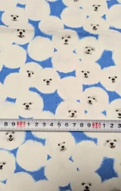 ⚠️さとと様専用⚠️ビションフリーゼ●KOKKA●綿麻キャンバス●５０ｃｍ２枚●