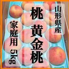 01【常温】山形県産 黄金桃 もも 5kg 家庭用
