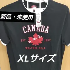 Item thumbnail for item 38dc19e8-24a1-4733-a9f9-feed28128049