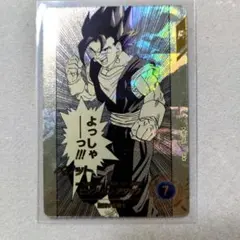 2026年最新】ドラゴンボールヒーローズ パラレルベジットの人気