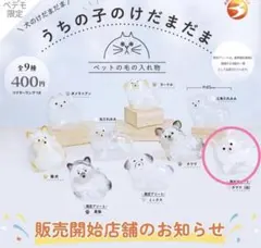 うちの子のけだまだま 犬 チワワ(白)