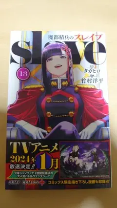 スレイブ 13巻 特典付き