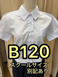 【パール調ボタン】B120 スクールシャツ 半袖 白 女子制服 学生服