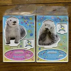 鳥羽水族館 コレクションカード vol.2 レアカード ラッコ メイちゃん