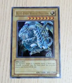 遊戯王　ブルーアイズホワイトドラゴン　英語版