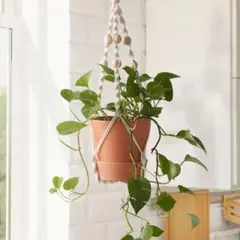 【未使用】IKEAアンヴェンドバール 吊り下げ型植木鉢用ネットのサムネイル