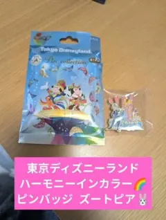 2026年最新】ハーモニーインカラー ピンバッジの人気アイテム - メルカリ