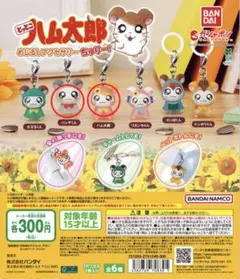 ハム太郎めじるしアクセサリーちゅりー！　2点セット