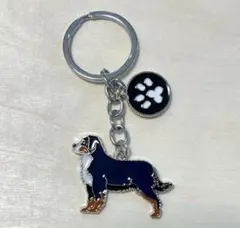 バーニーズマウンテンドック　キーリング　3