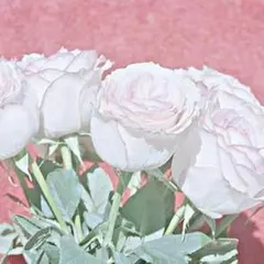 あつみな様専用