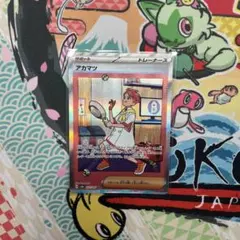 アカマツ SAR テラスタルフェスex