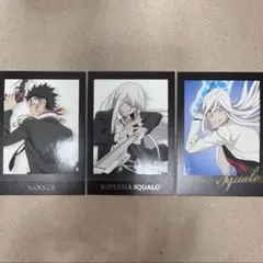 家庭教師ヒットマンREBORN ぱしゃこれPREMIUM ザンザス スクアーロ