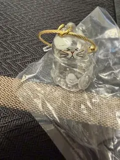 うちの子のけだまだま第二弾三毛猫