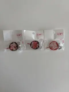 もじパラ アクリルキーホルダー SnowMan 宮舘涼太