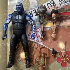 wwe スポーツカード