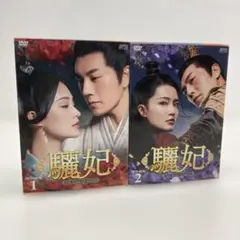 蘭陵王妃 DVD 全23巻 レンタル落ち 日本語字幕 ケ―ス込み - メルカリ